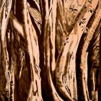 13 Arterie Necat plantas, Olio e bitume su tela, 70x120   2005